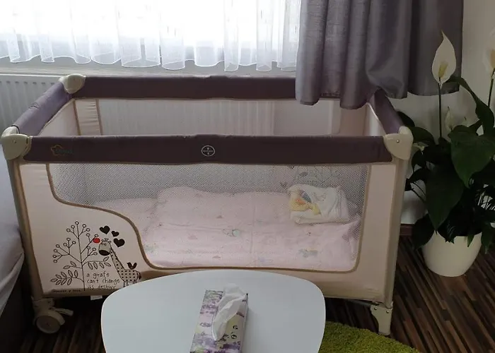 Apartament Laura 1 - Centre Karlowe Wary